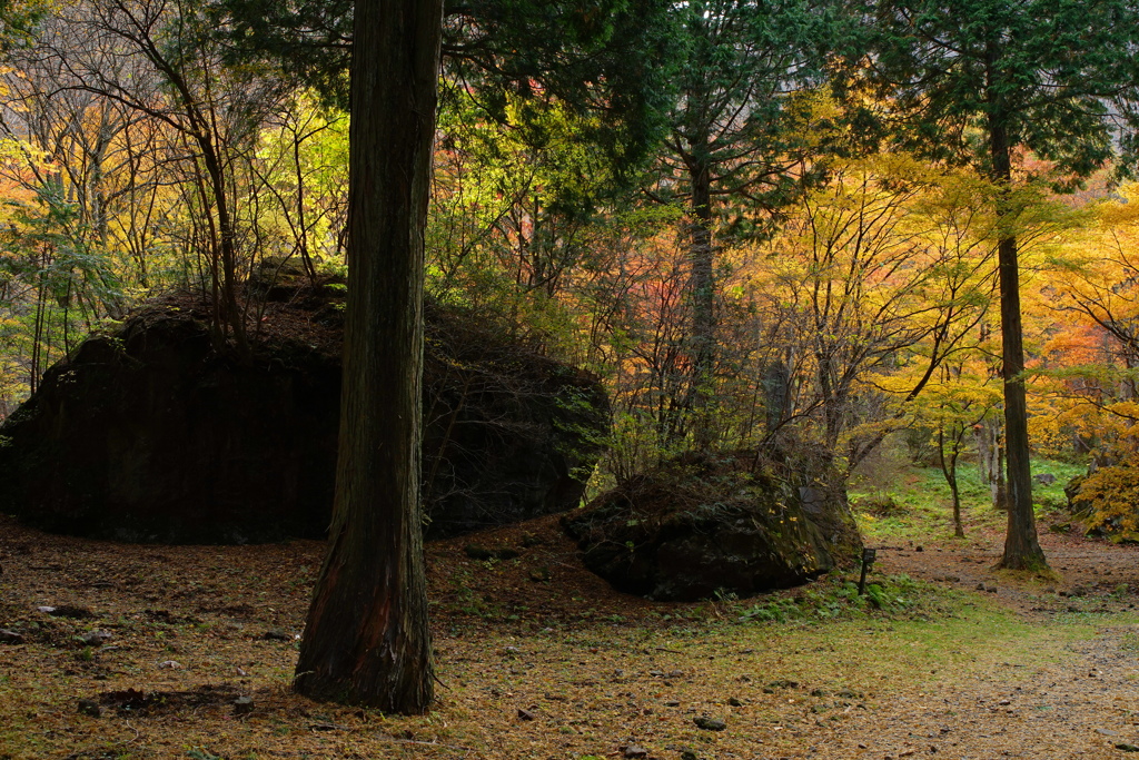 紅葉真っ盛り