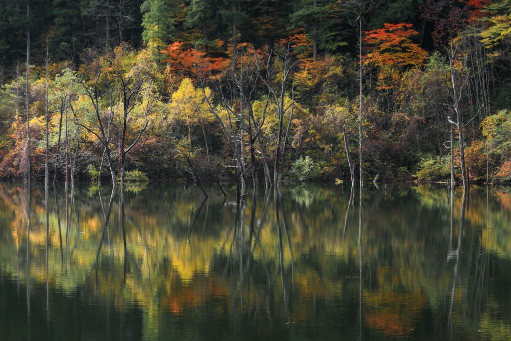 秋の自然湖