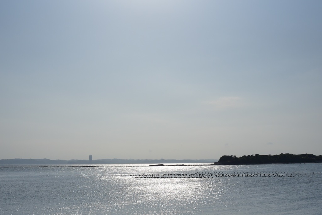 佐久島から見る海