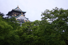 新緑と城