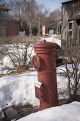 _DSC0417