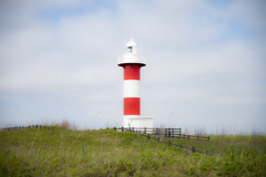 _DSC0552