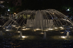 _DSC0736