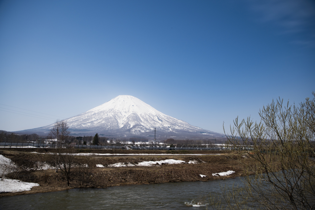 _DSC0455