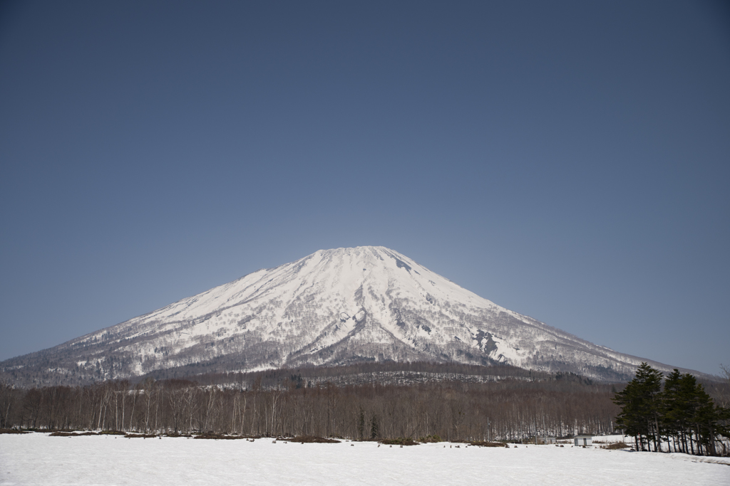 _DSC0463