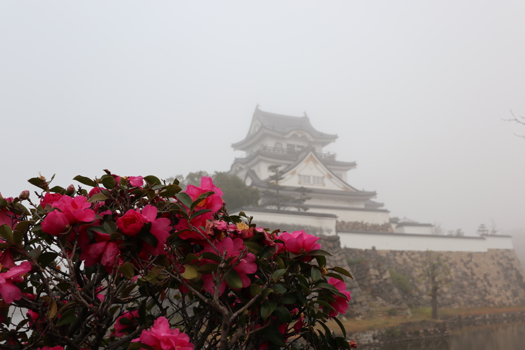 霧の中の岸和田城