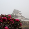 霧の中の岸和田城