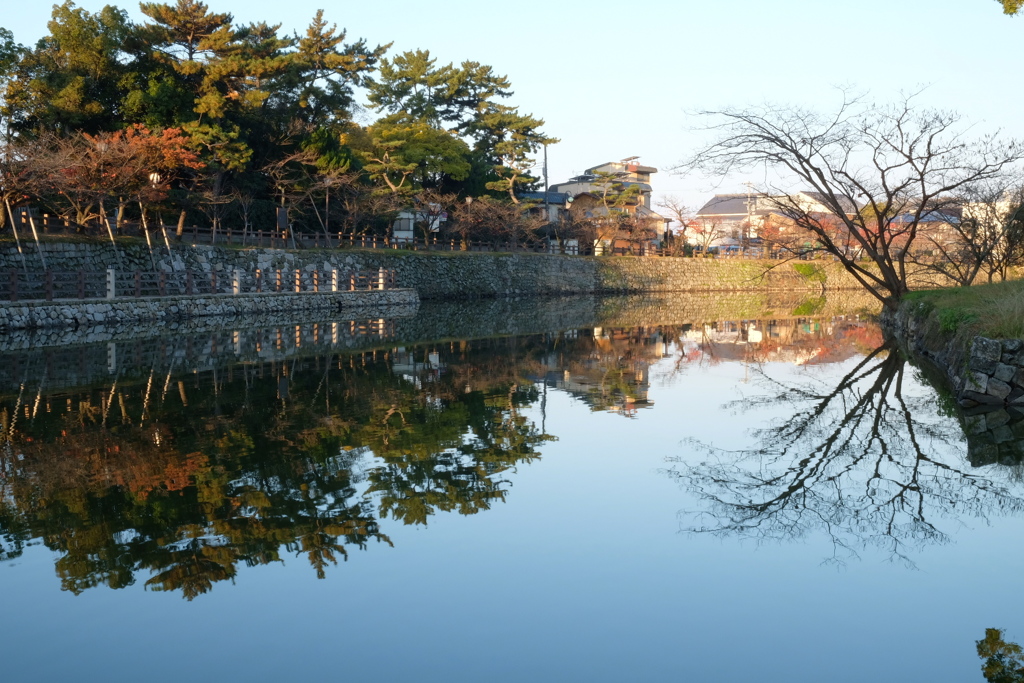 静かな堀端