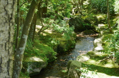 奈良 依水園 ①