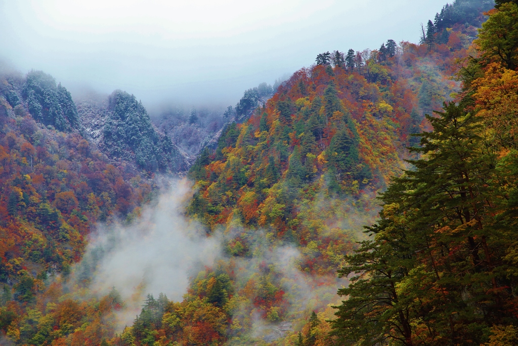 山粧う