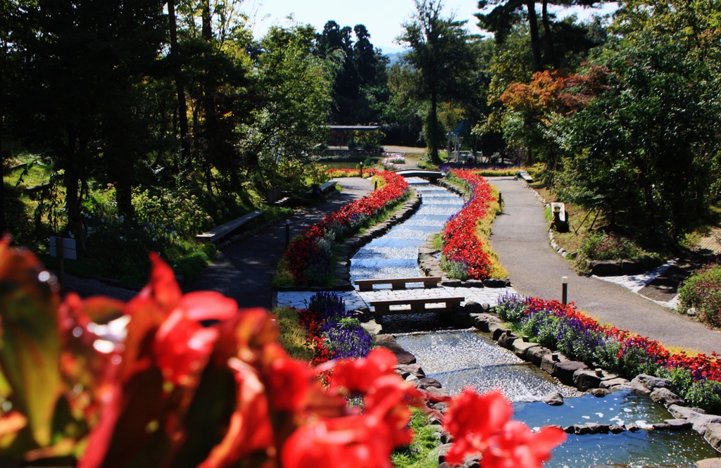 garden