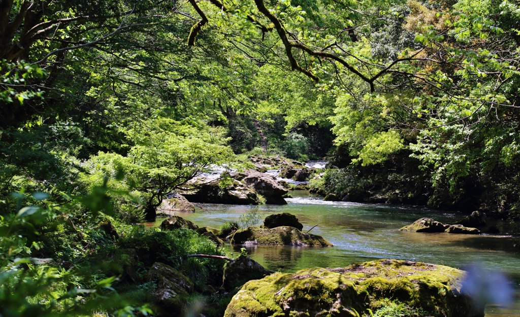 　流れ