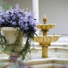 flower　garden