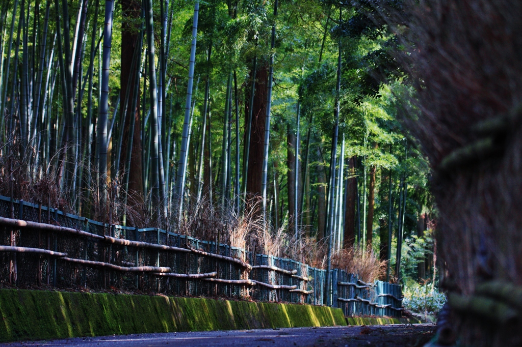 風の通り道