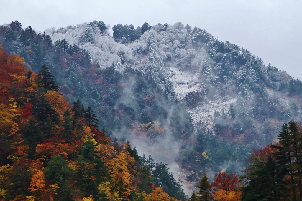 雪山と紅葉