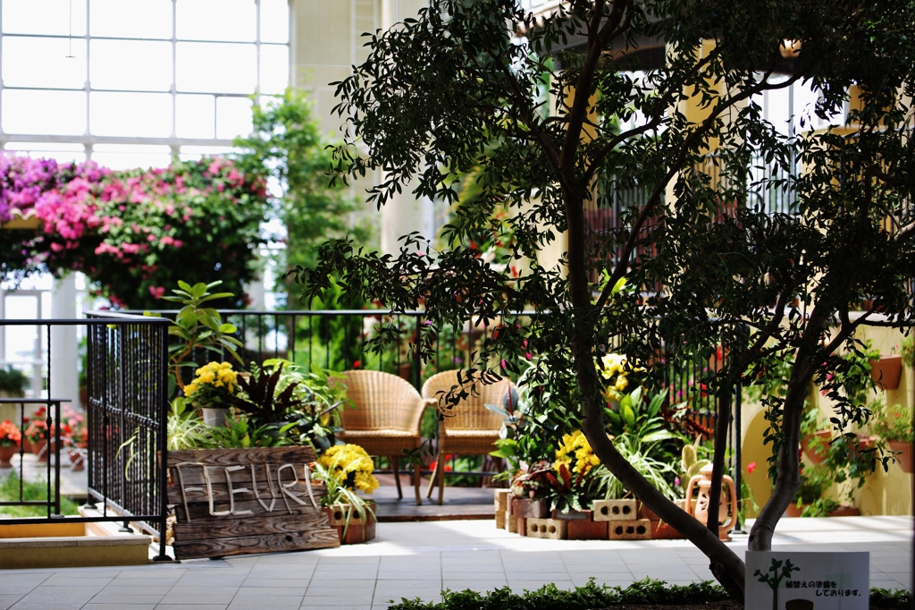 garden　♪