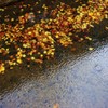 雨音