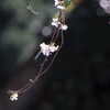 拝啓。。いつかの君へ