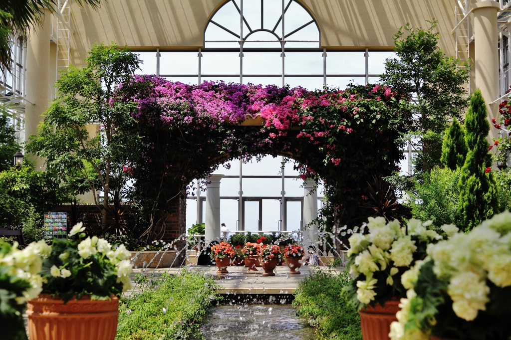 terrace　garden