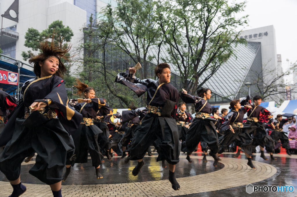 ふくろまつり　東京よさこい　早稲田大学“踊り侍”