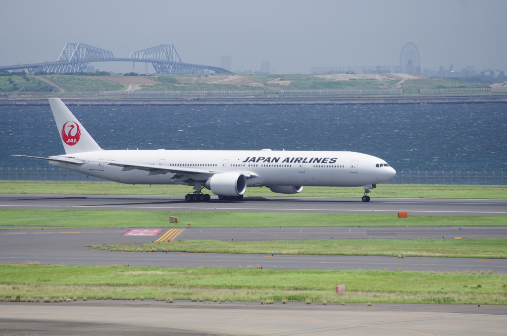 ゲートブリッジとJAL