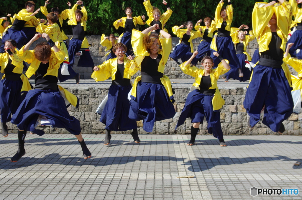 大江戸ソーラン祭り　関東学院大学”誇咲”