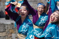 大江戸ソーラン祭り　燦-SUN-