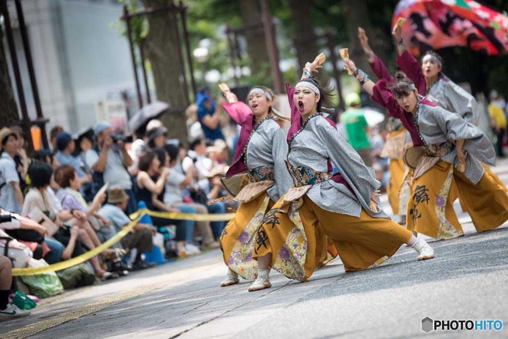 光が丘よさこい　舞陣さん