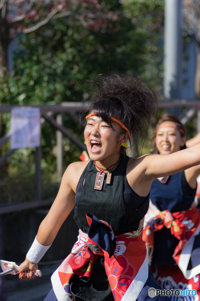 おやちゃい村収穫祭　朝霞溝連　2