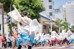 湘南よさこい　法政大学 鳳遙恋さん