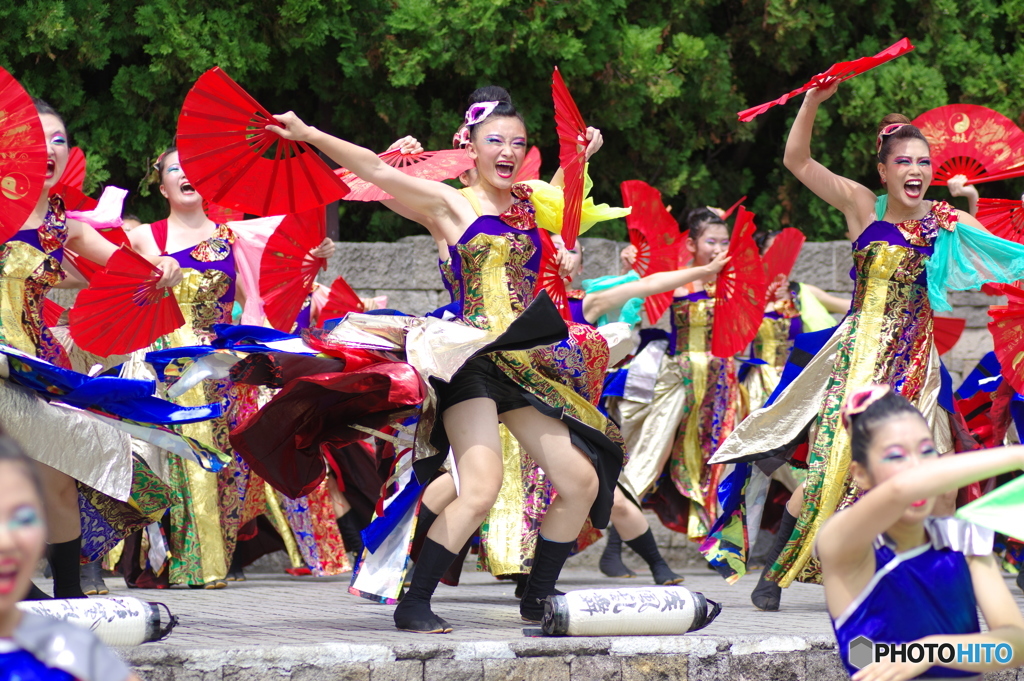 大江戸ソーラン祭り　疾風乱舞　No.2