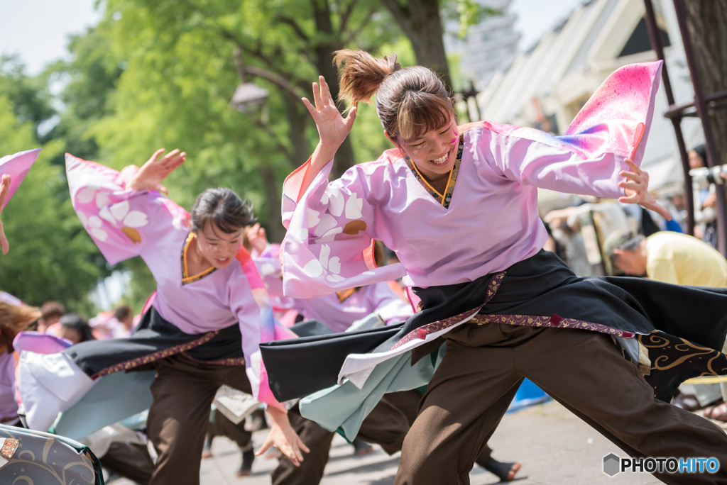 光が丘よさこい　関東学院大学“誇咲”さん