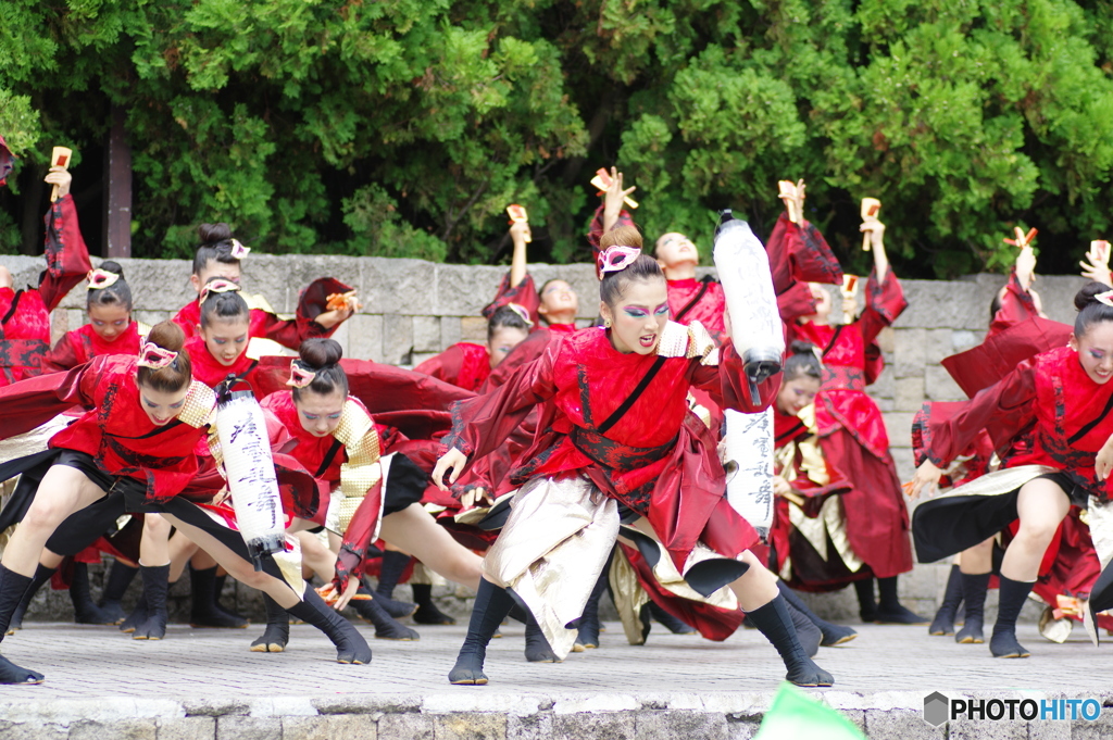 大江戸ソーラン祭り　疾風乱舞