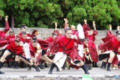 大江戸ソーラン祭り　疾風乱舞