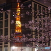 桜と東京タワー