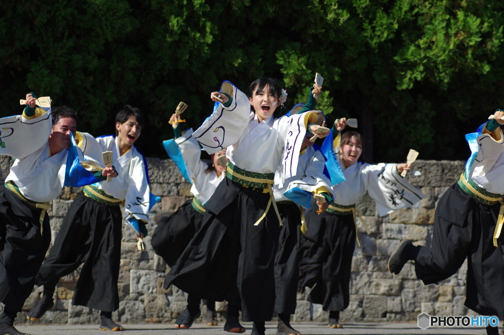 大江戸ソーラン祭り　生っ粋