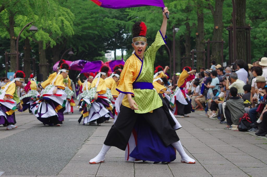 光が丘よさこい　所沢風炎祇神伝～雅～