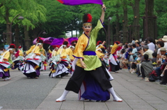 光が丘よさこい　所沢風炎祇神伝～雅～