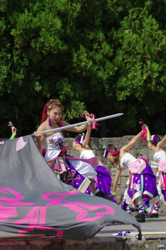 大江戸ソーラン祭り　dance company REIKA組 no.2