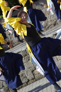 大江戸ソーラン祭り　関東学院大学”誇咲” no.2
