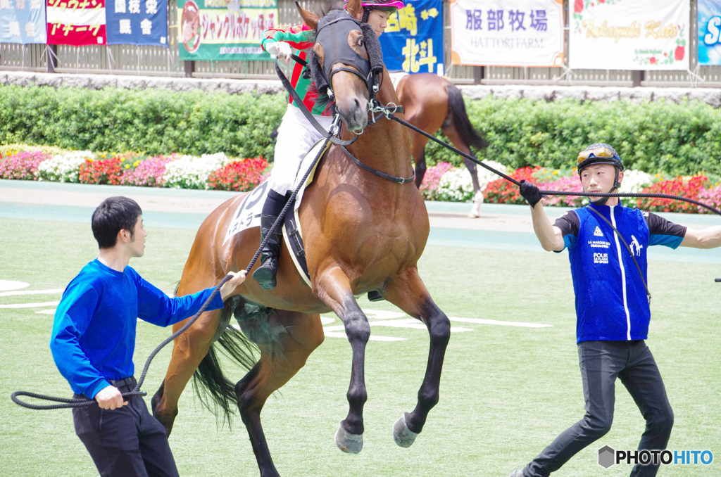 興奮ぎみ