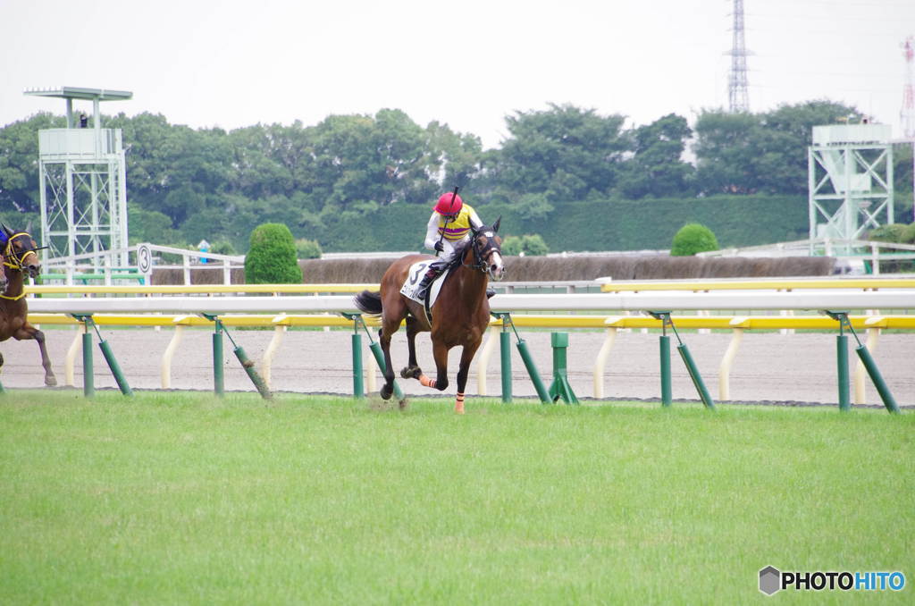 逃げ切る