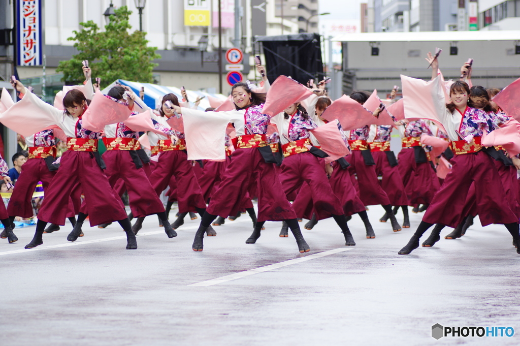 ふくろ祭り　東京よさこい　実践女子大学・短期大学WING
