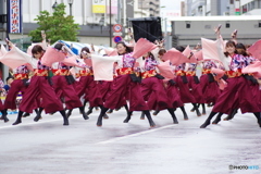 ふくろ祭り　東京よさこい　実践女子大学・短期大学WING