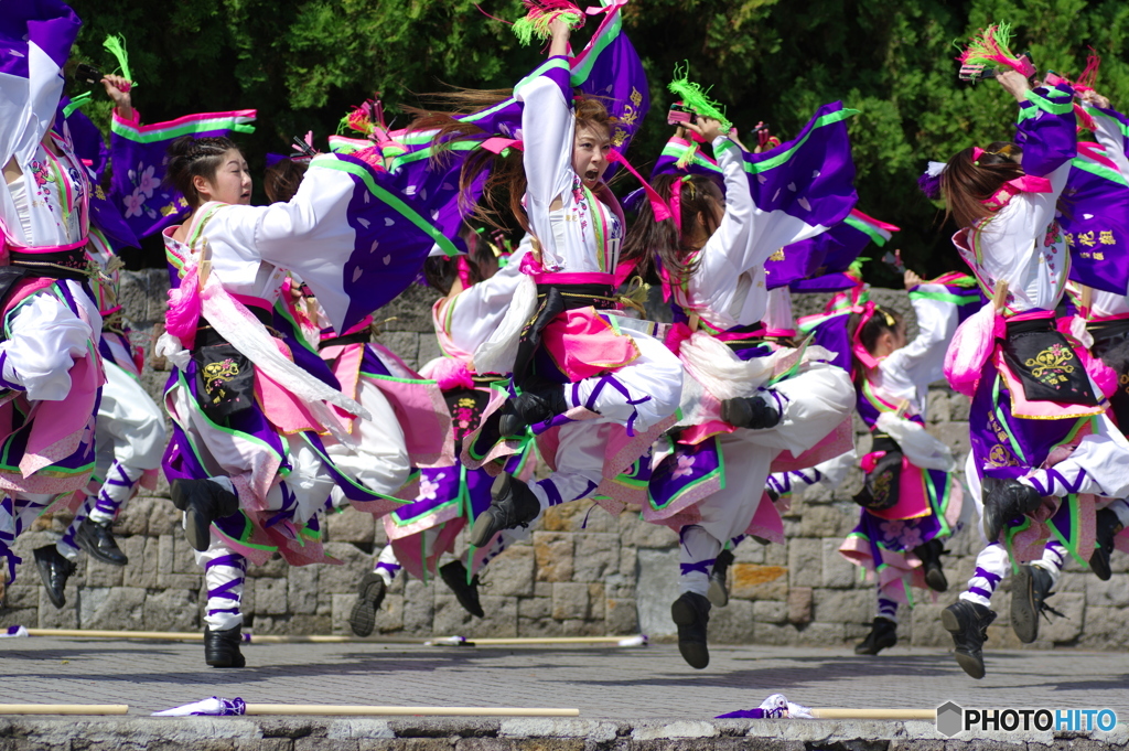 大江戸ソーラン祭り　dance company REIKA組