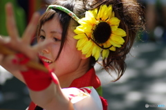 夏の華