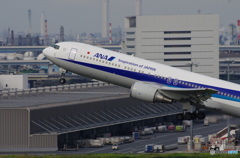 JAL JA8342 上昇中アップ