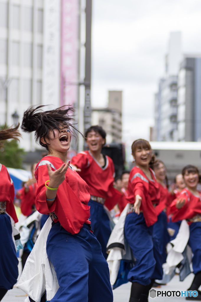 東京よさこい　学生よさこいチームおどりんちゅ