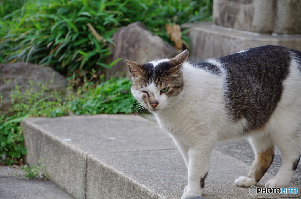 ウィンク