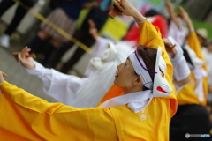 原宿スーパーよさこい　横浜百姫隊